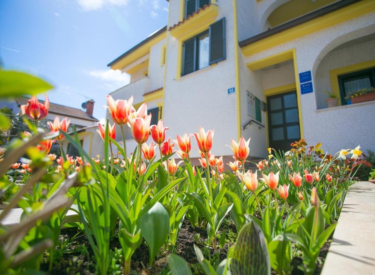 Apartment House Matosevic Poreč Buitenkant foto